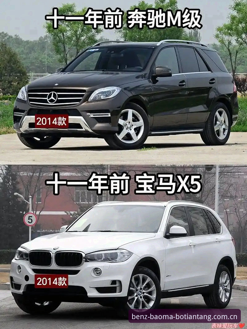博天堂官网哪个好 奔驰宝马平台全面评测:博天堂官网哪个好?深度体验与功能对比