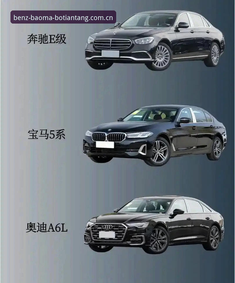 奔驰宝马平台玩家必读：博天堂官网下载与博天堂APP 2025哪个入口更顺手？